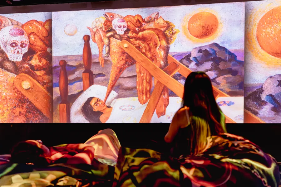 image experience Frida Kahlo