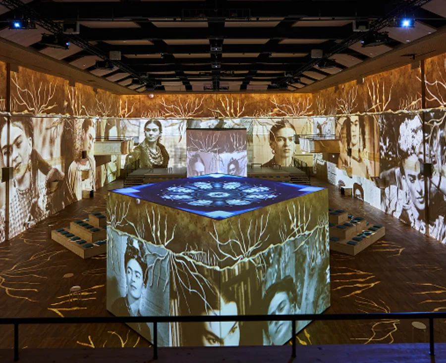 Frida Kahlo experience