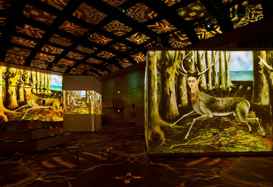 image experience Frida Kahlo